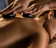 Holistics Courses