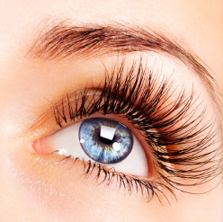 Semi Permanent Mascara Training semi permanent mascara training course